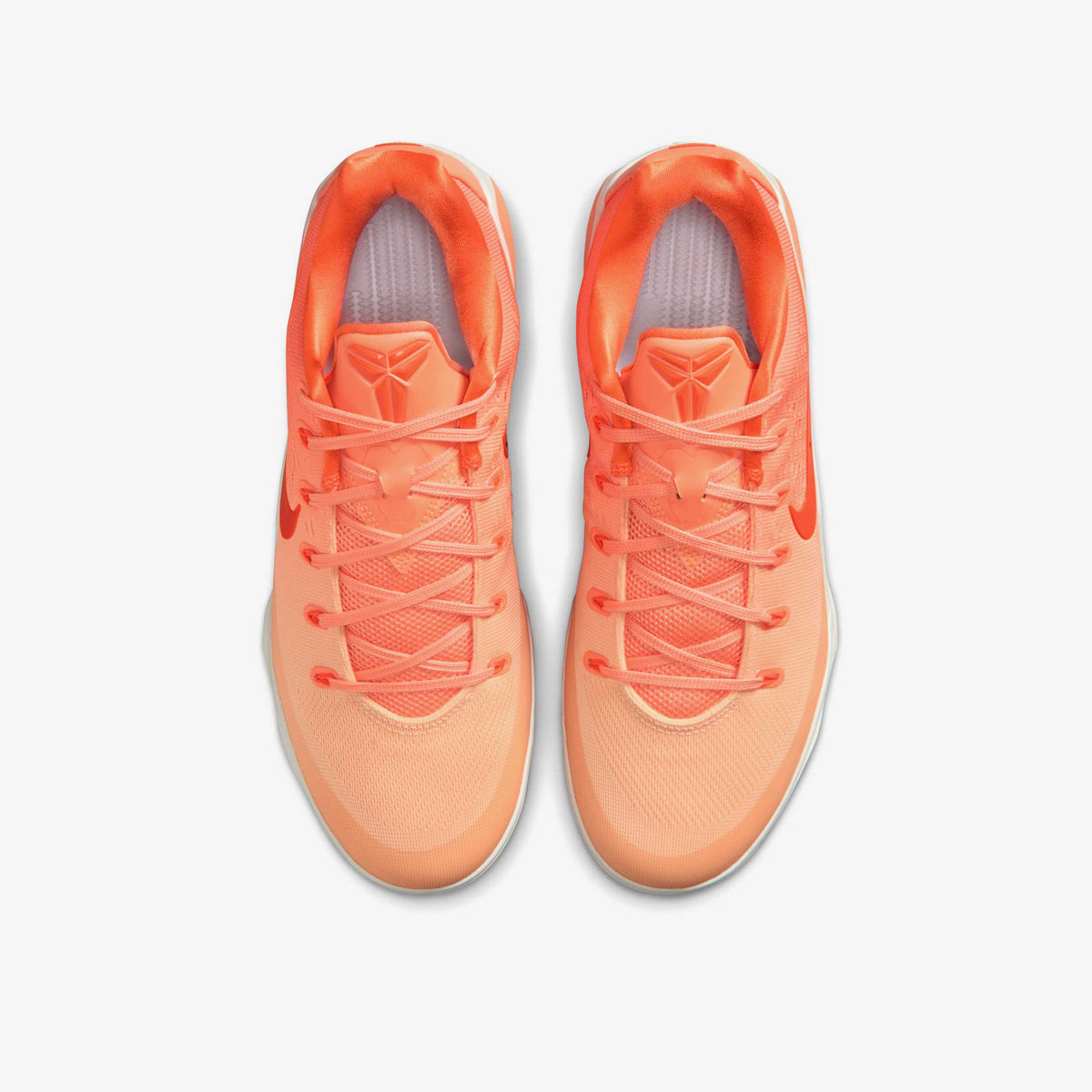 Nike Kobe IX Elite Low EM Protro