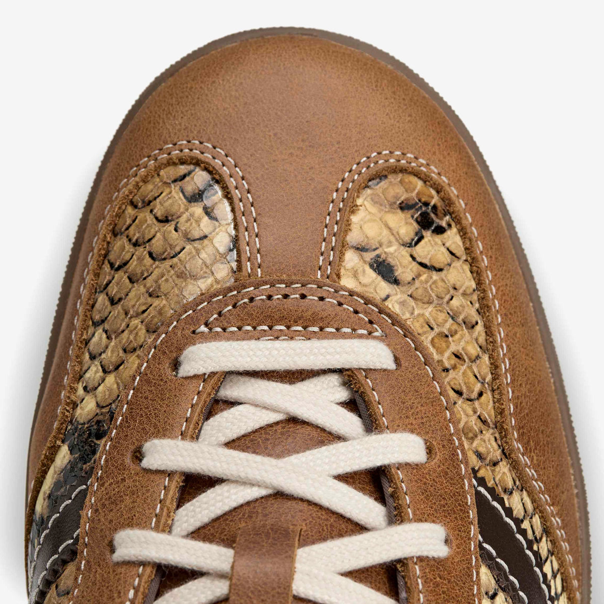 adidas Gazelle Snake x Wales Bonner