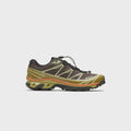 Salomon XT-6 GTX - Delicioso / Tea / Plantation