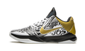 Nike Kobe 5 Protro "Big Stage/Parade" CT8014 100