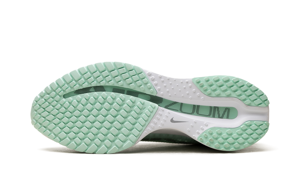 Nike Pegasus Premium WMNS "White Mint Foam" HQ2593 103