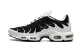 Nike Air Max Plus "Black / White" CT1094 102