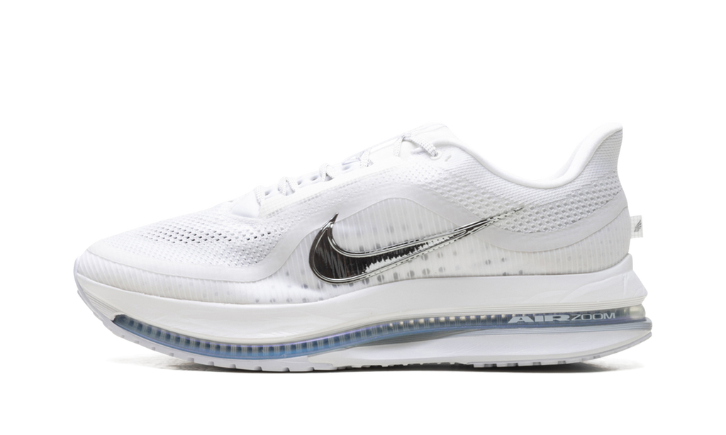 Nike Pegasus Premium "White Metallic Silver" HQ2592 102