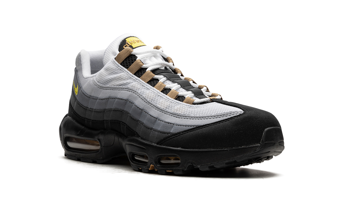Nike Air Max 95 "ICONS" DX4236 100