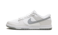 Nike Dunk Low Retro "Summit White Light Smoke Grey" DV0831 106