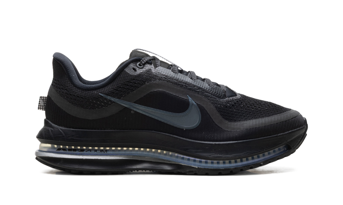 Nike Pegasus Premium "Black Metallic Silver" HQ2592 005