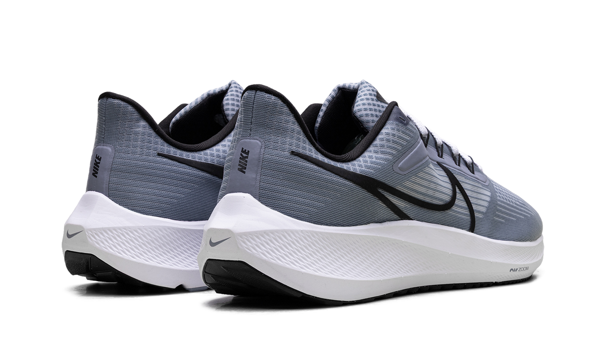 Nike Air Zoom Pegasus 39 "Ashen Slate / Black" DH4071 401