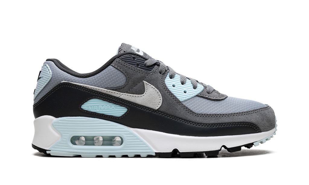 Nike Air Max 90 "Pumice" DM0029 009