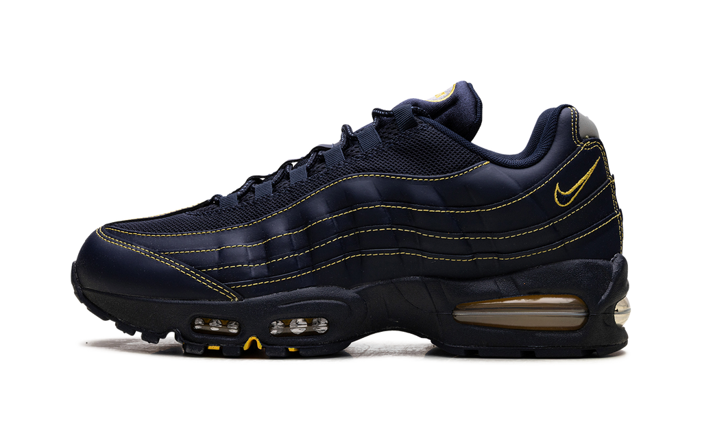 Nike Air Max 95 "Michigan" IB7936 400