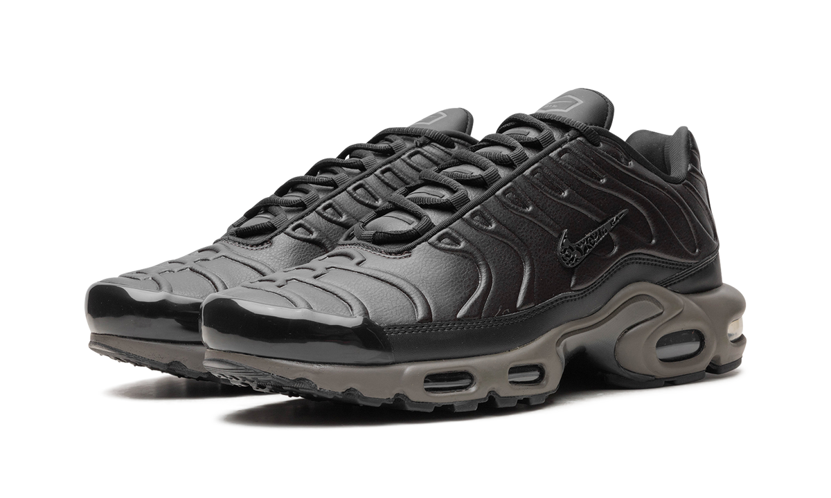 Nike Air Max Plus "Black Tea / Petra Brown" "Black Tea / Petra Brown" HJ4519 200