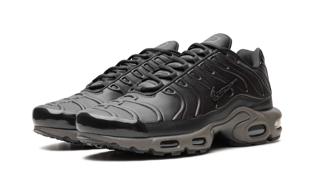Nike Air Max Plus "Black Tea / Petra Brown" "Black Tea / Petra Brown" HJ4519 200