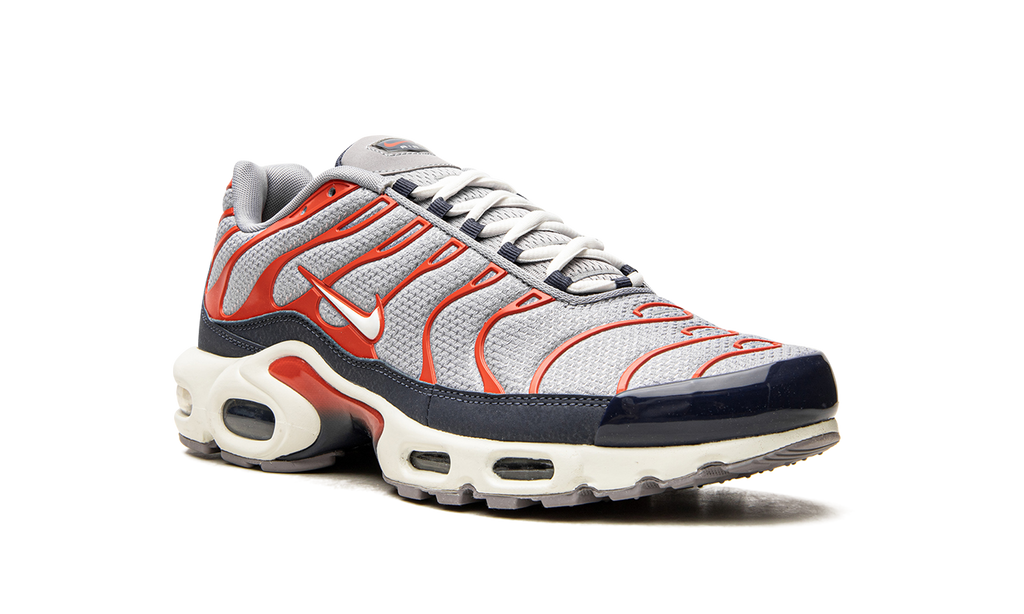 Nike Air Max Plus "USA Grey" DB0682 003