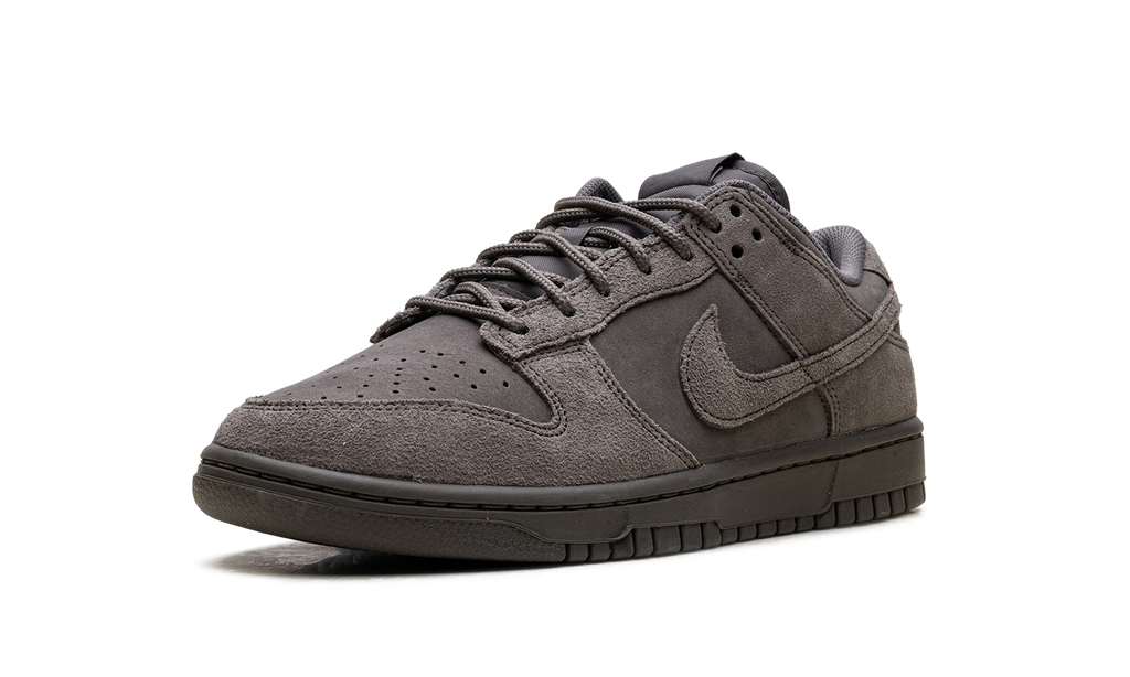 Nike Dunk Low Retro SE "Cave Stone" IB6651 200