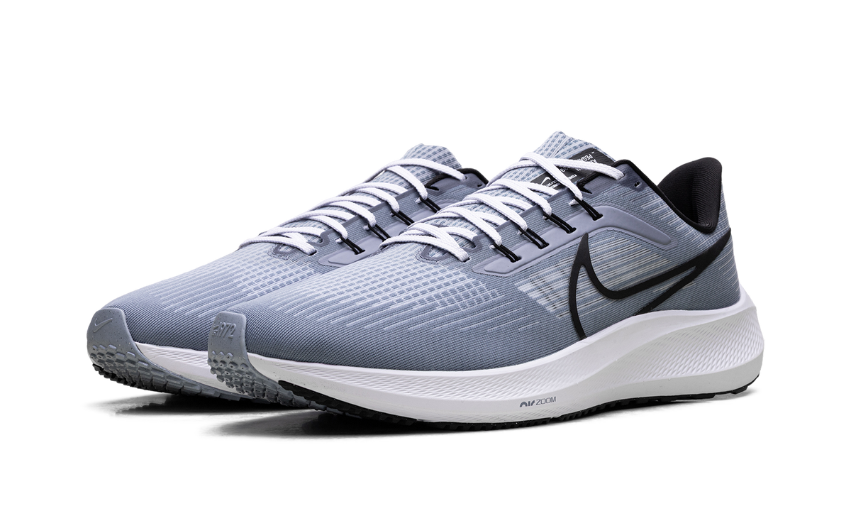 Nike Air Zoom Pegasus 39 "Ashen Slate / Black" DH4071 401
