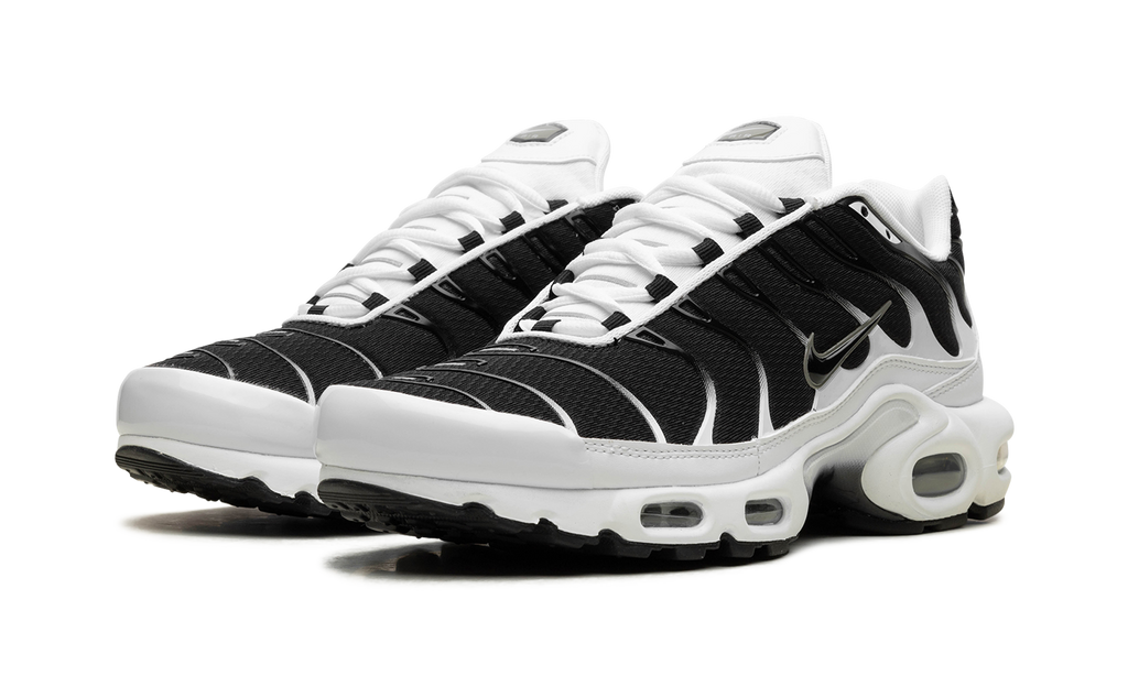 Nike Air Max Plus "Black / White" CT1094 102