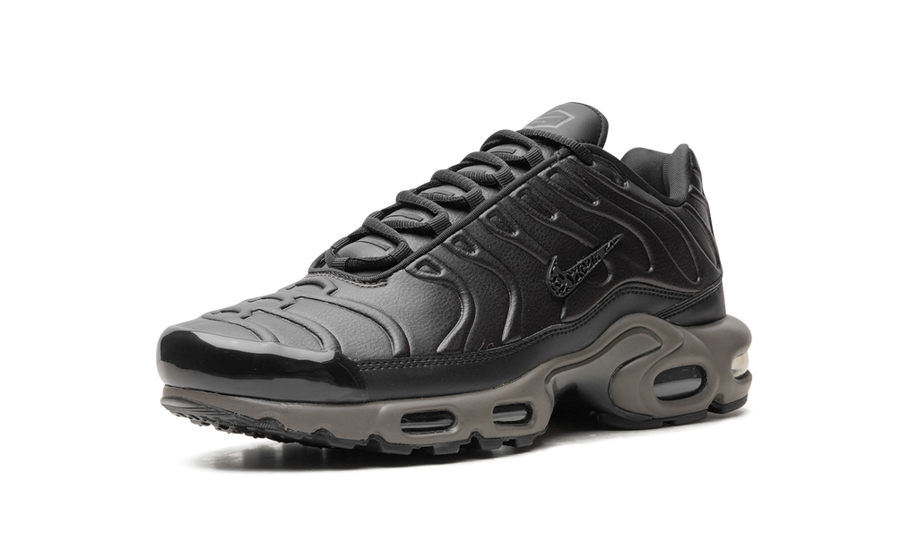 Nike Air Max Plus "Black Tea / Petra Brown" "Black Tea / Petra Brown" HJ4519 200