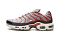 Nike Air Max Plus "USA Grey" DB0682 003