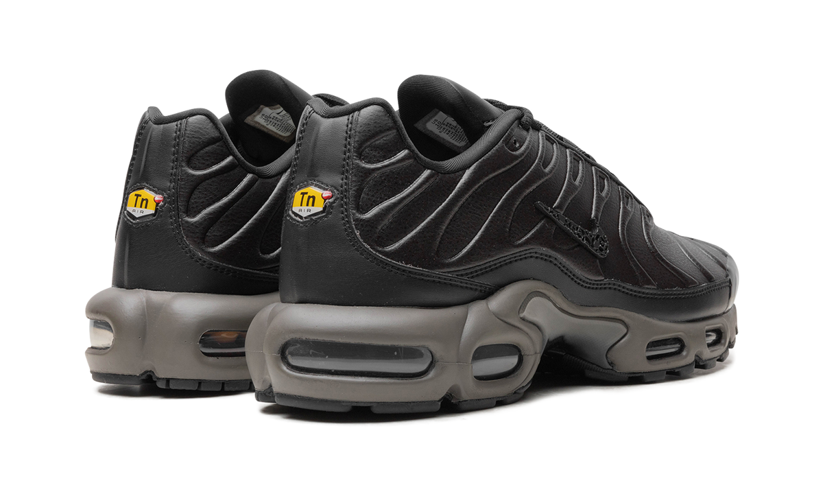 Nike Air Max Plus "Black Tea / Petra Brown" "Black Tea / Petra Brown" HJ4519 200