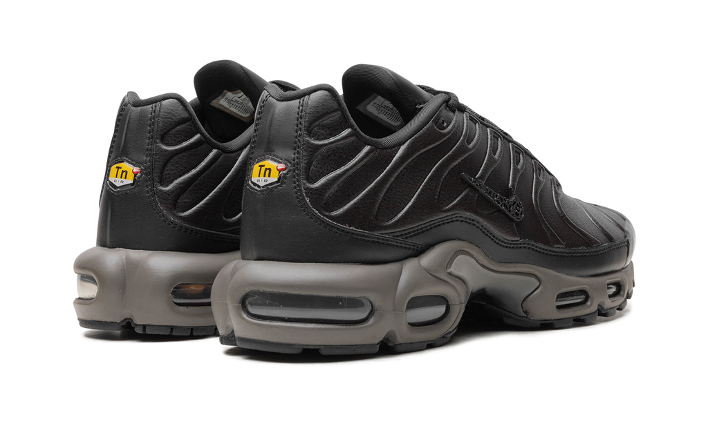 Nike Air Max Plus "Black Tea / Petra Brown" "Black Tea / Petra Brown" HJ4519 200