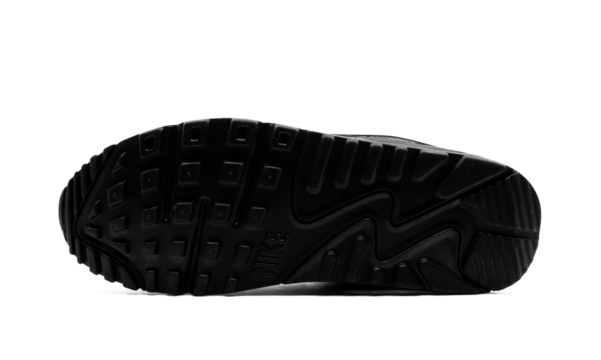Nike Air Max 90 "Iron Grey" CN8490 002
