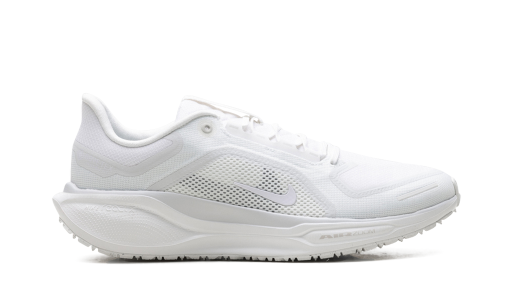Nike Air Zoom Pegasus 41 "Gore-Tex" FQ1356 101