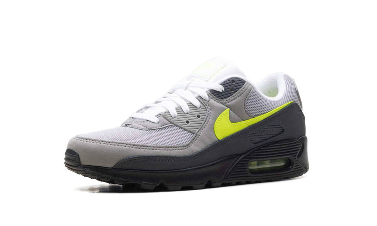 Nike Air Max 90 "Neon" IQ0289 010