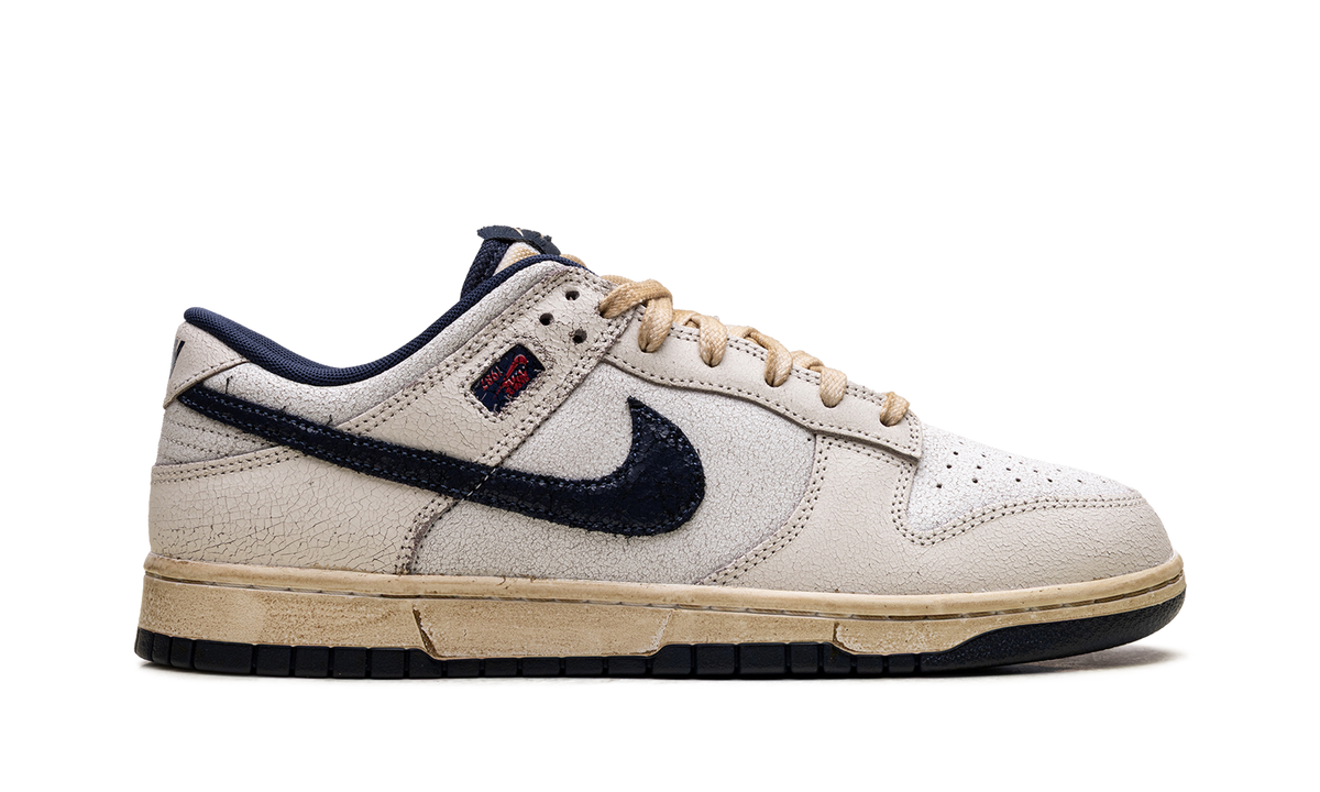 Nike Dunk Low "Stranger Things Phantom" IH6766 001
