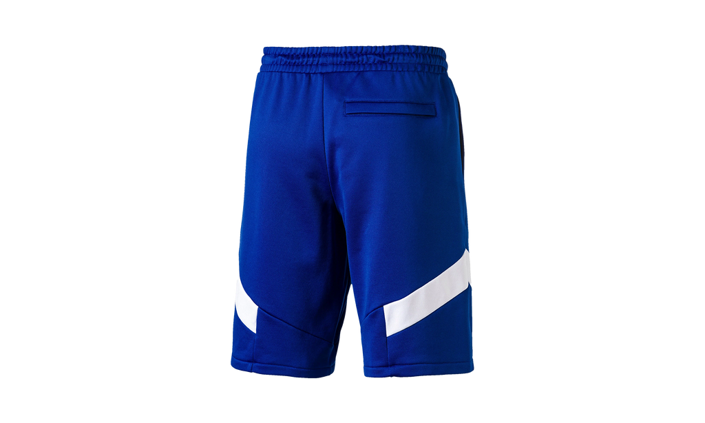 Puma ICONIC MCS SHORTS 10" "Blue" 578432 29