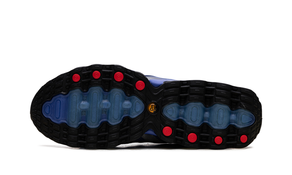 Nike Air Max Dn8 "Patta - Game Royal" IB4029 400