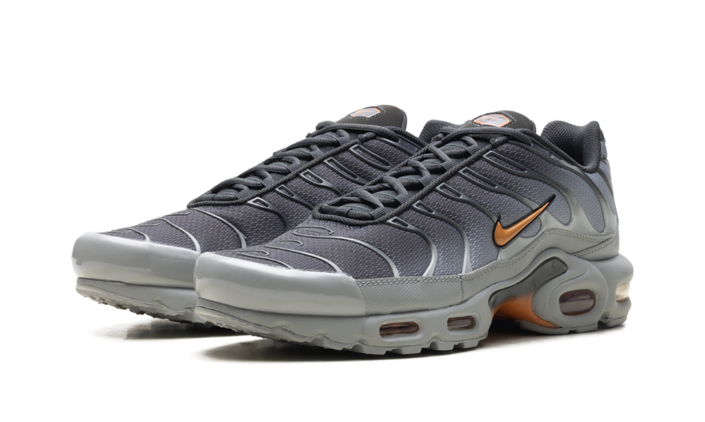 Nike Air Max Plus "Light Smoke Grey Hot Curry" DM0032 037