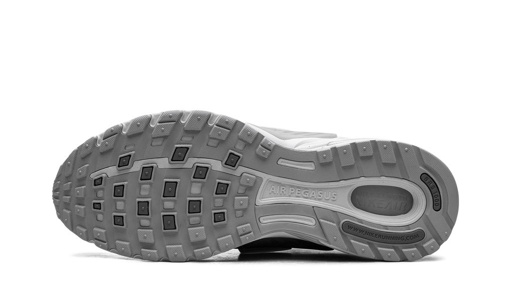 Nike Air Pegasus Wave "Flat Silver Metallic Silver Pewter" IB0612 003