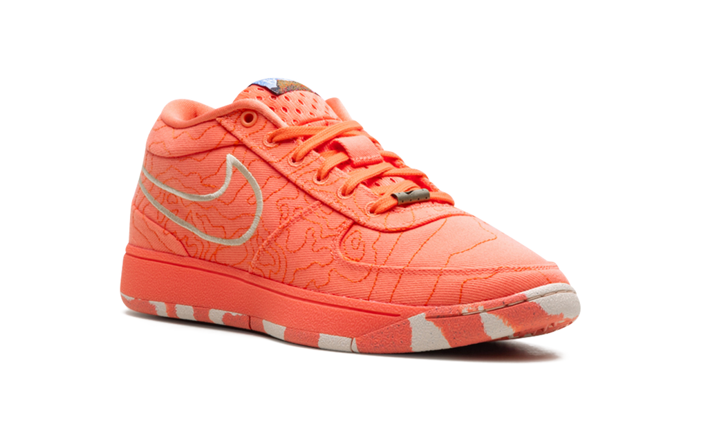 Nike Book 1 "Sedona" IB8054 800