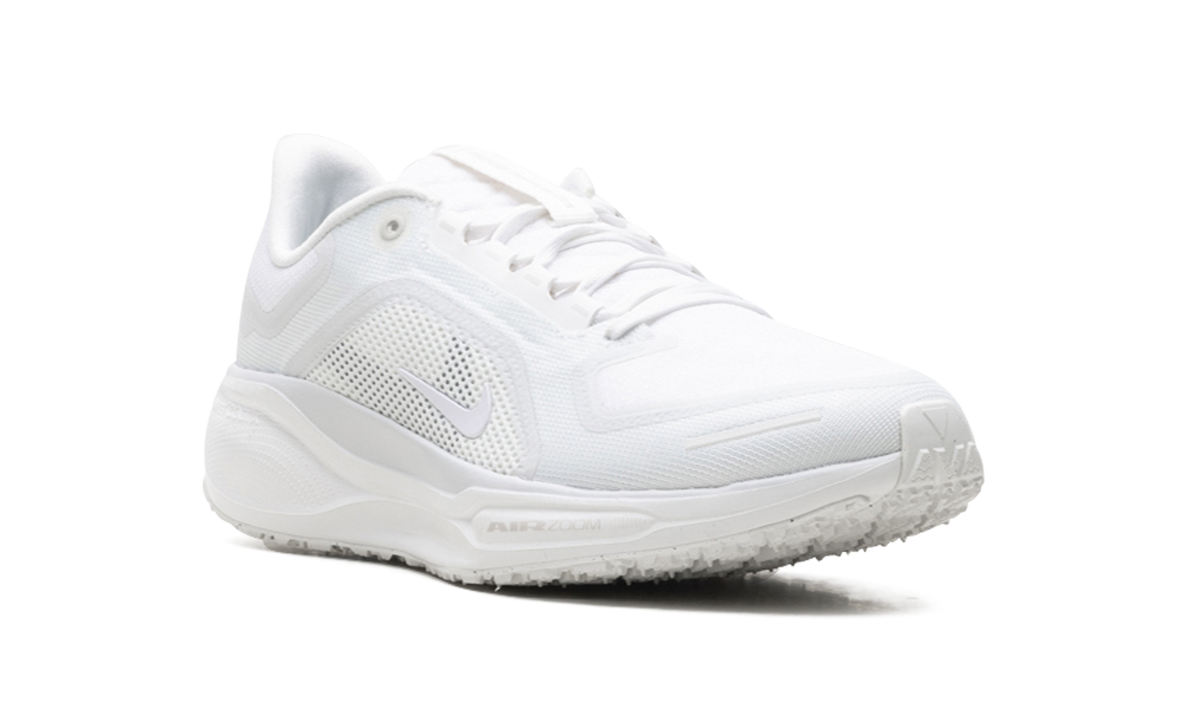 Nike Air Zoom Pegasus 41 "Gore-Tex" FQ1356 101