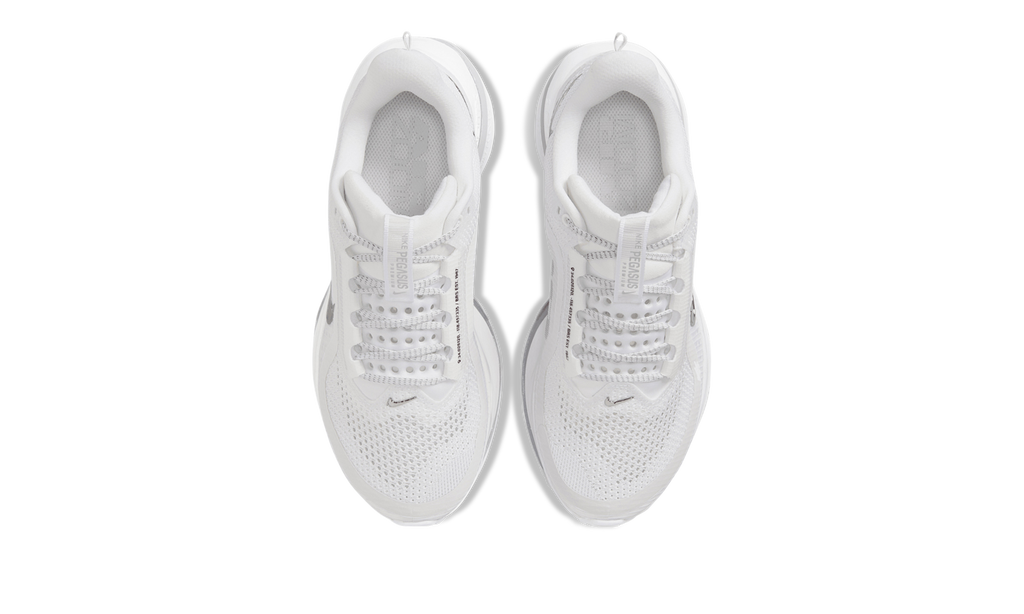 Nike Pegasus Premium WMNS "White Metallic Silver" HQ2593 102