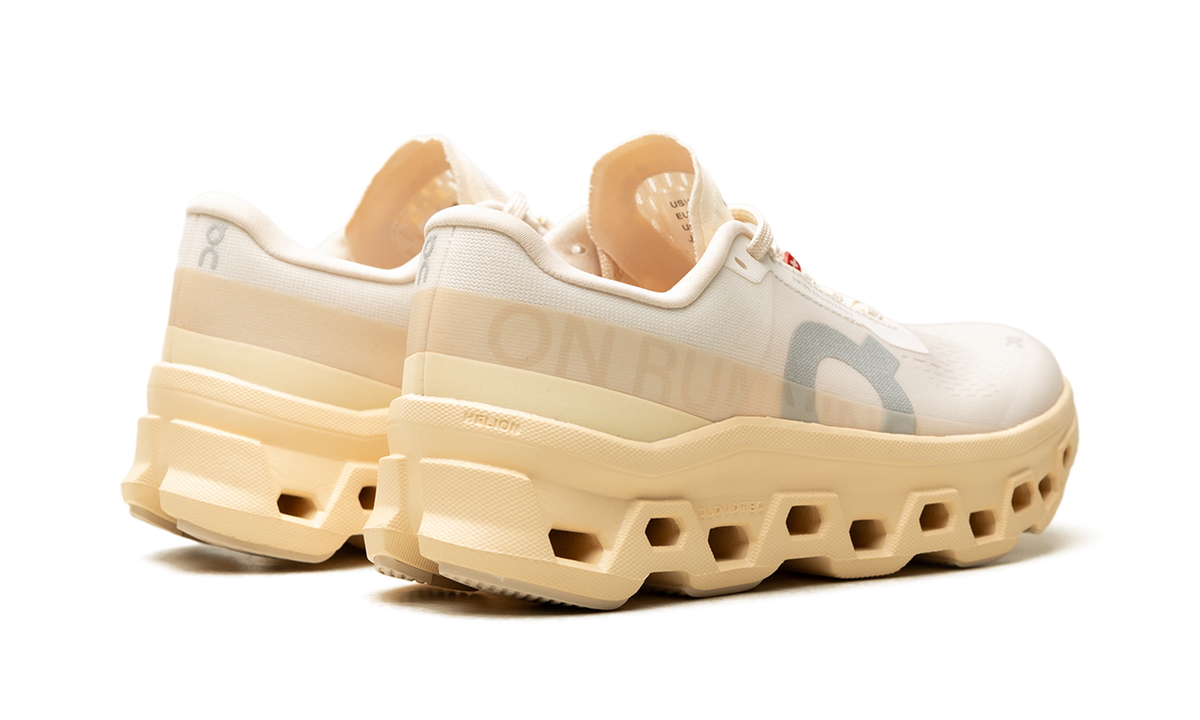 On Running Cloudmonster 1 WMNS "Goby Lily" 3WF30484910
