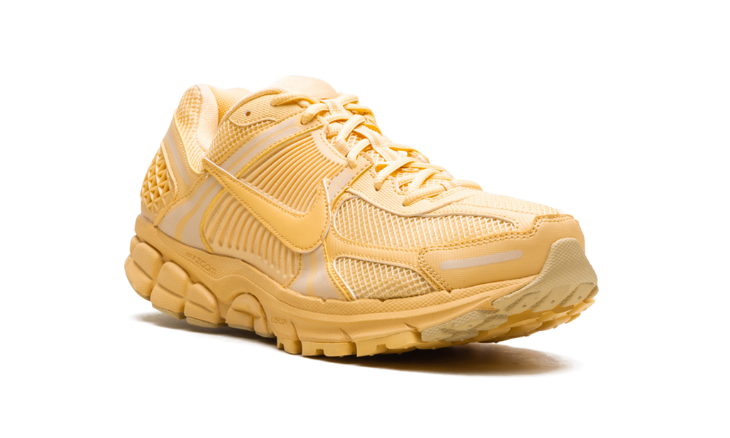 Nike Zoom Vomero 5 "Celestial Gold" HF5493 200