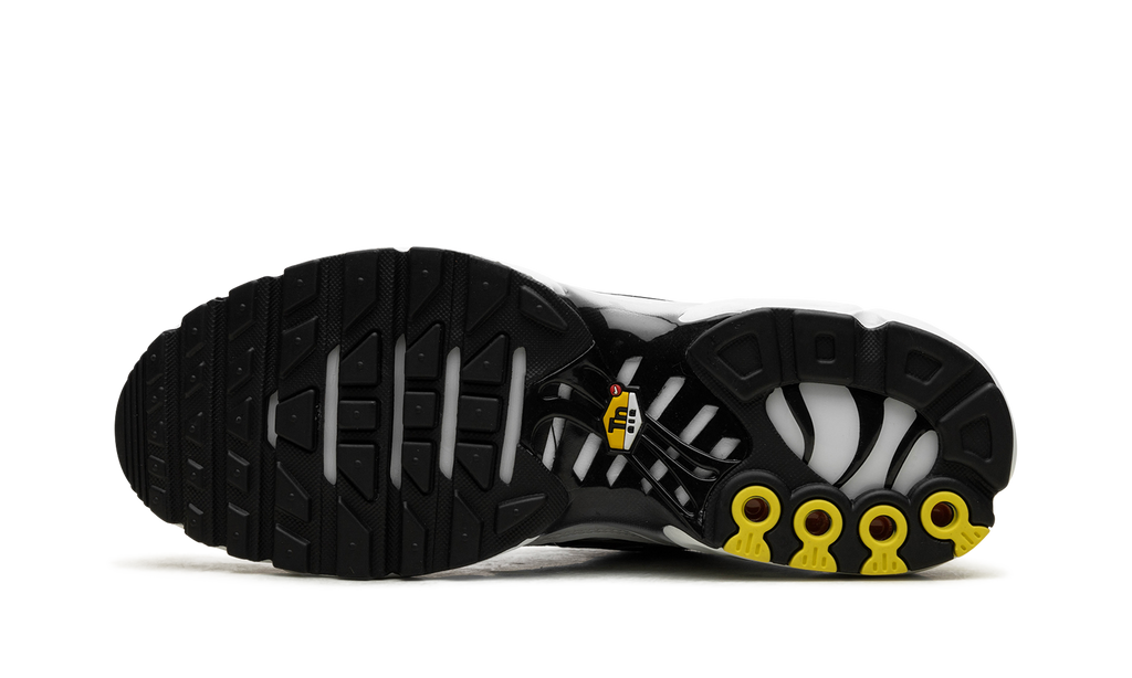 Nike Air Max Plus "Black / White" CT1094 102