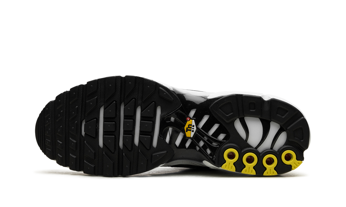Nike Air Max Plus "Black / White" CT1094 102