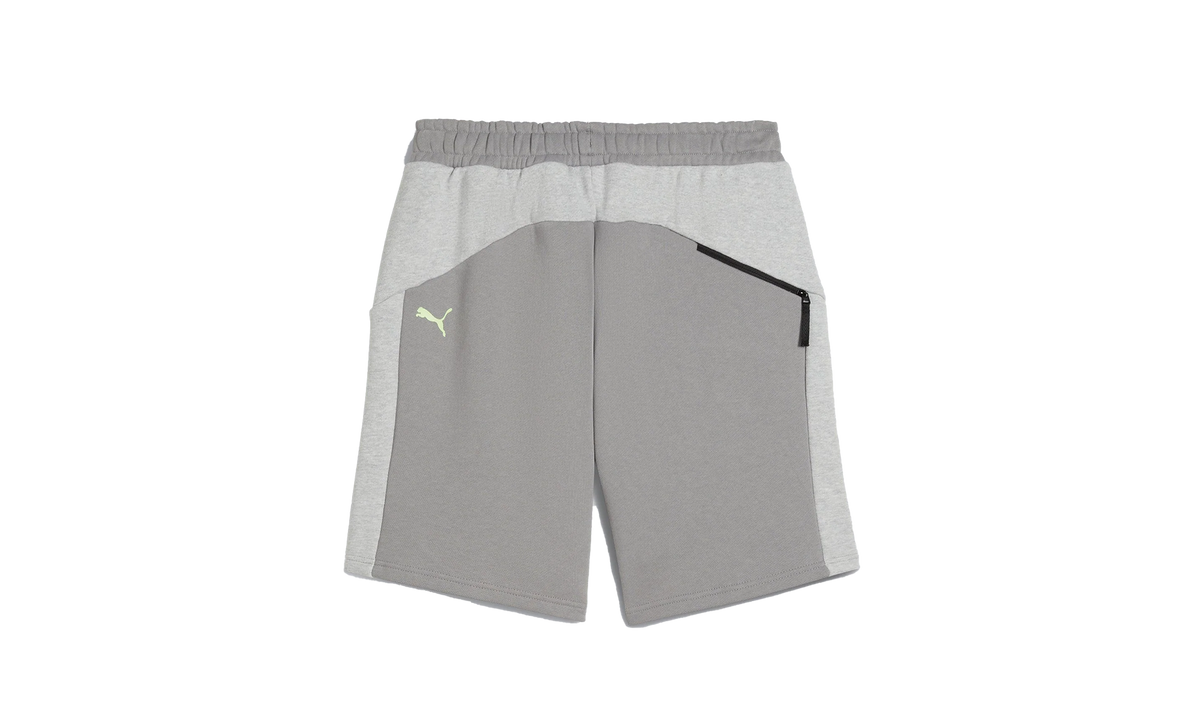 Puma SHORTS "Gray" 624100 04