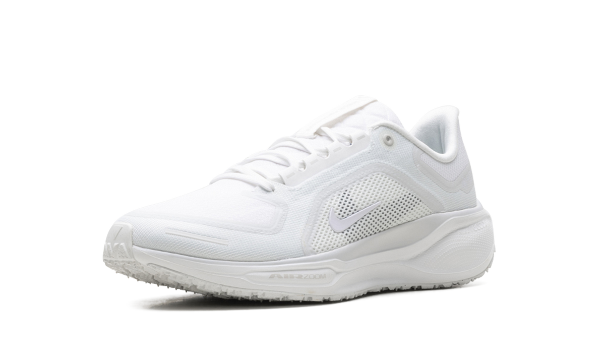 Nike Air Zoom Pegasus 41 "Gore-Tex" FQ1356 101
