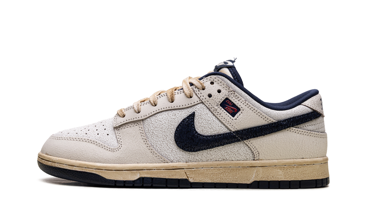 Nike Dunk Low "Stranger Things Phantom" IH6766 001