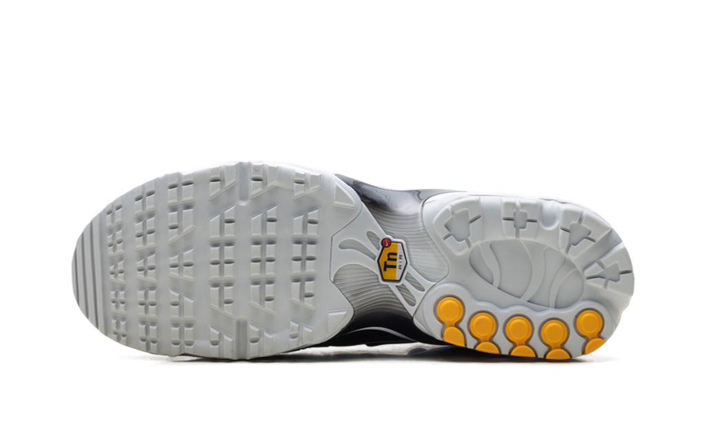 Nike Air Max Plus Golf "Black Leather" FZ4150 001