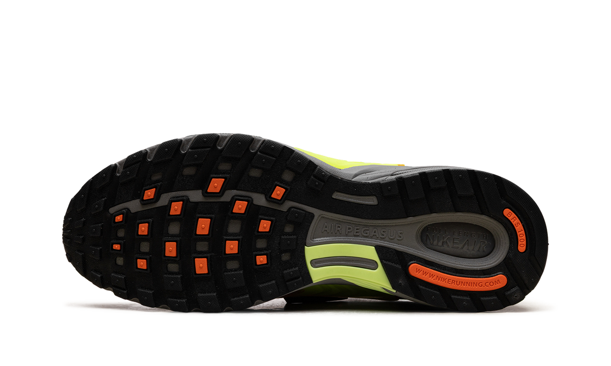 Nike Air Pegasus Wave "Gradient Cage" IB0612 005
