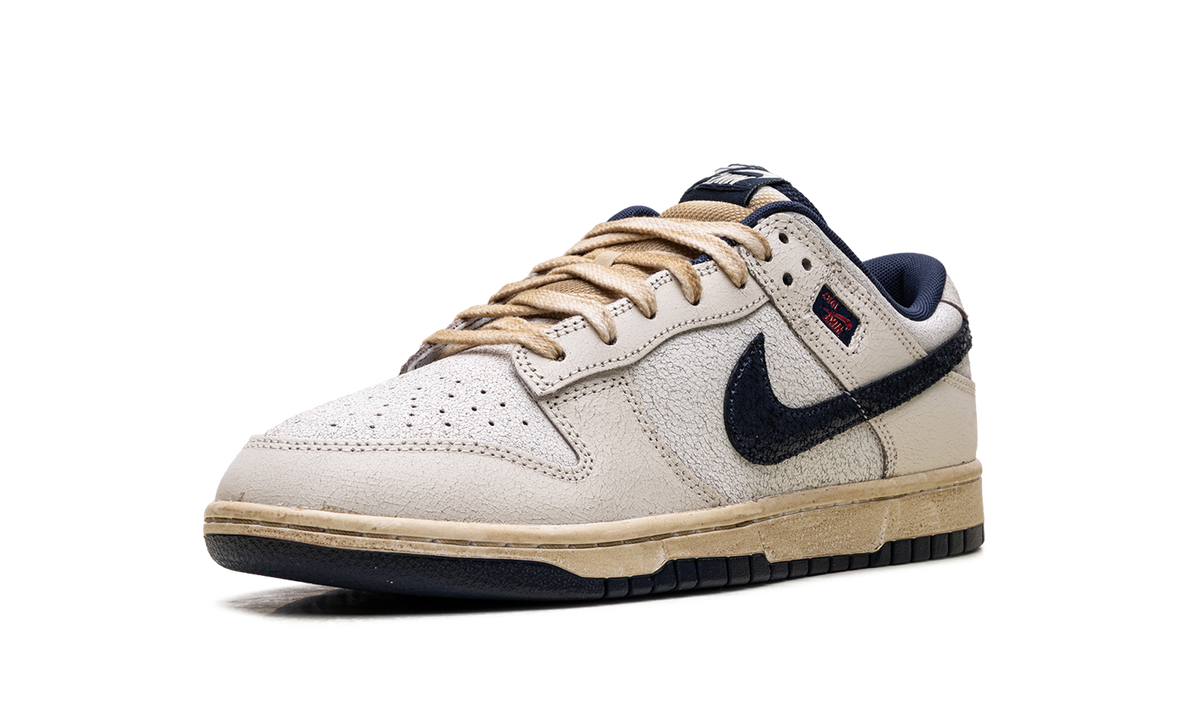 Nike Dunk Low "Stranger Things Phantom" IH6766 001