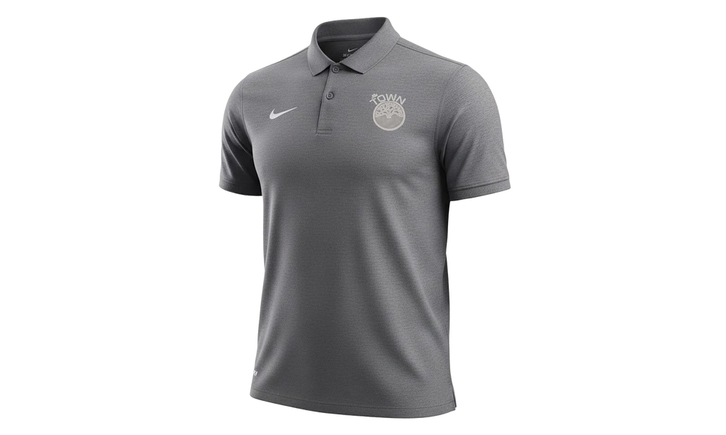 Nike NBA GOLDEN STATE WARRIORS THE TOWN DRY POLO "Gray" M51500 THETOWN