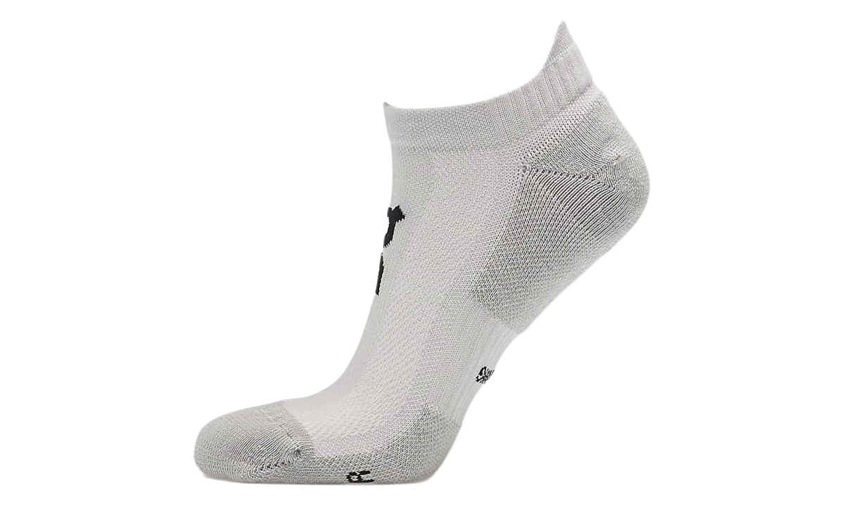ON RUNNING Core Run Sock Low "Glacier (2 Pack)" 2UF10080561