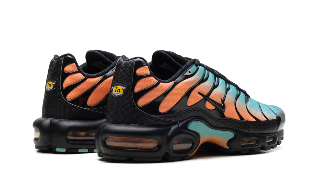 Nike Air Max Plus "South Beach" DM0032 022