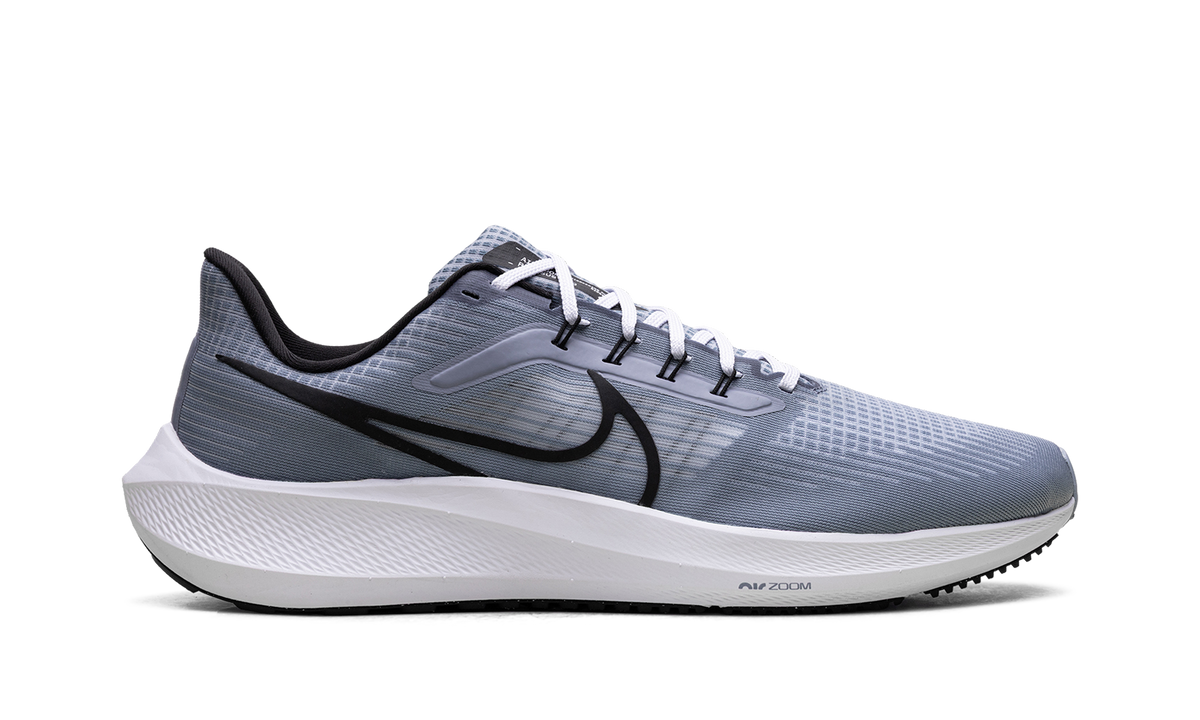 Nike Air Zoom Pegasus 39 "Ashen Slate / Black" DH4071 401