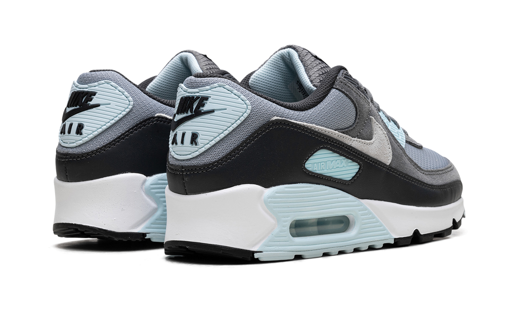 Nike Air Max 90 "Pumice" DM0029 009