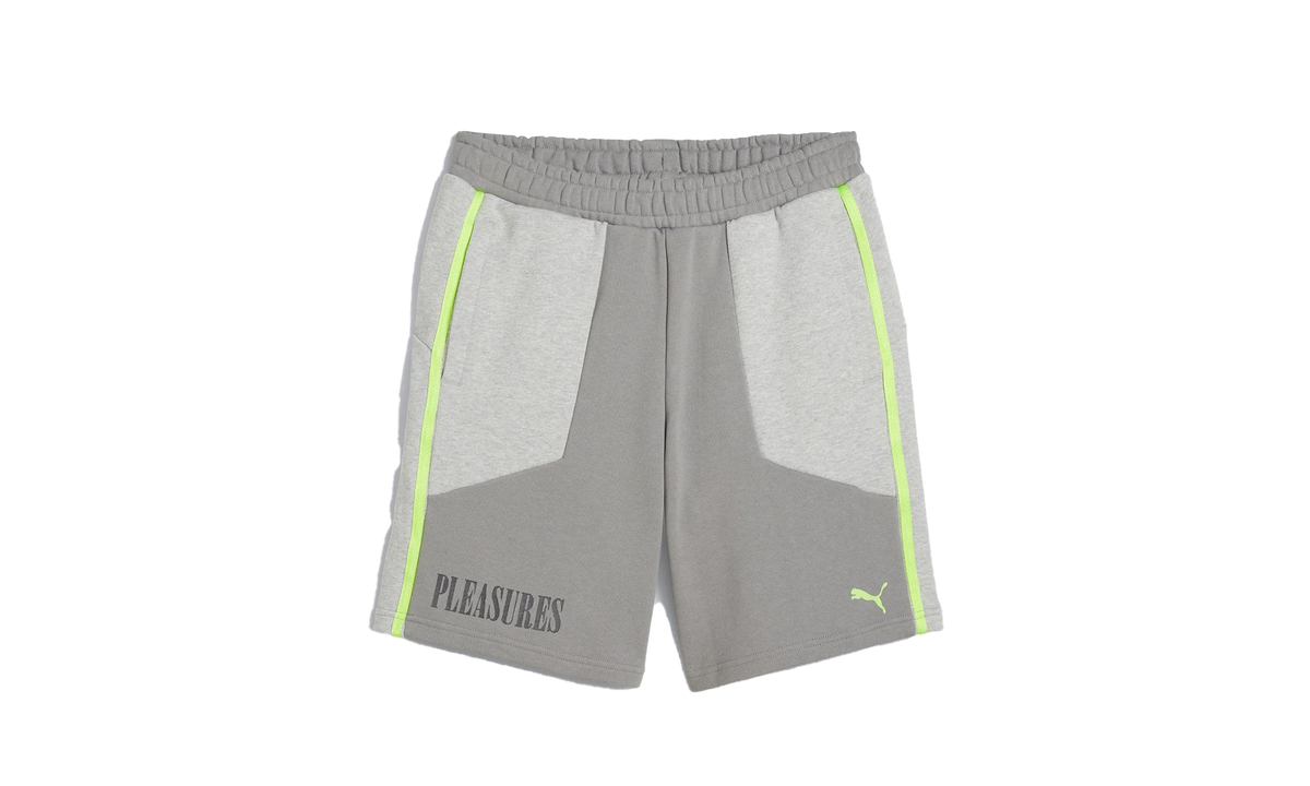 Puma SHORTS "Gray" 624100 04